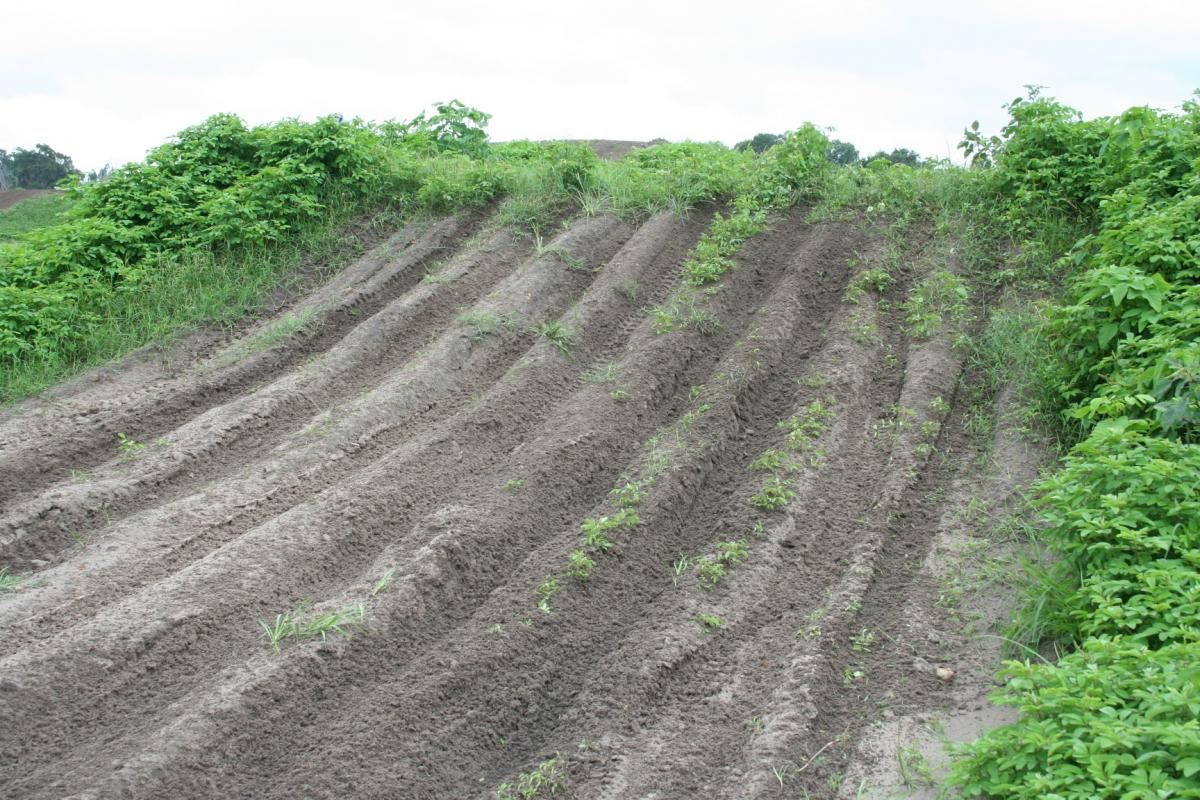 A look at the private training facility of Ryan Villopoto - brought to you by Dream Traxx. (Photos: Dream Traxx)