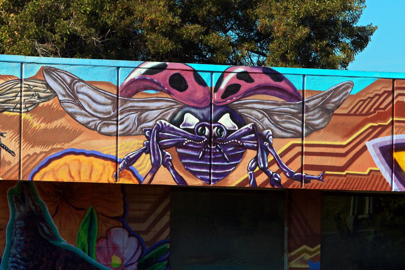 A Different View: Oakland