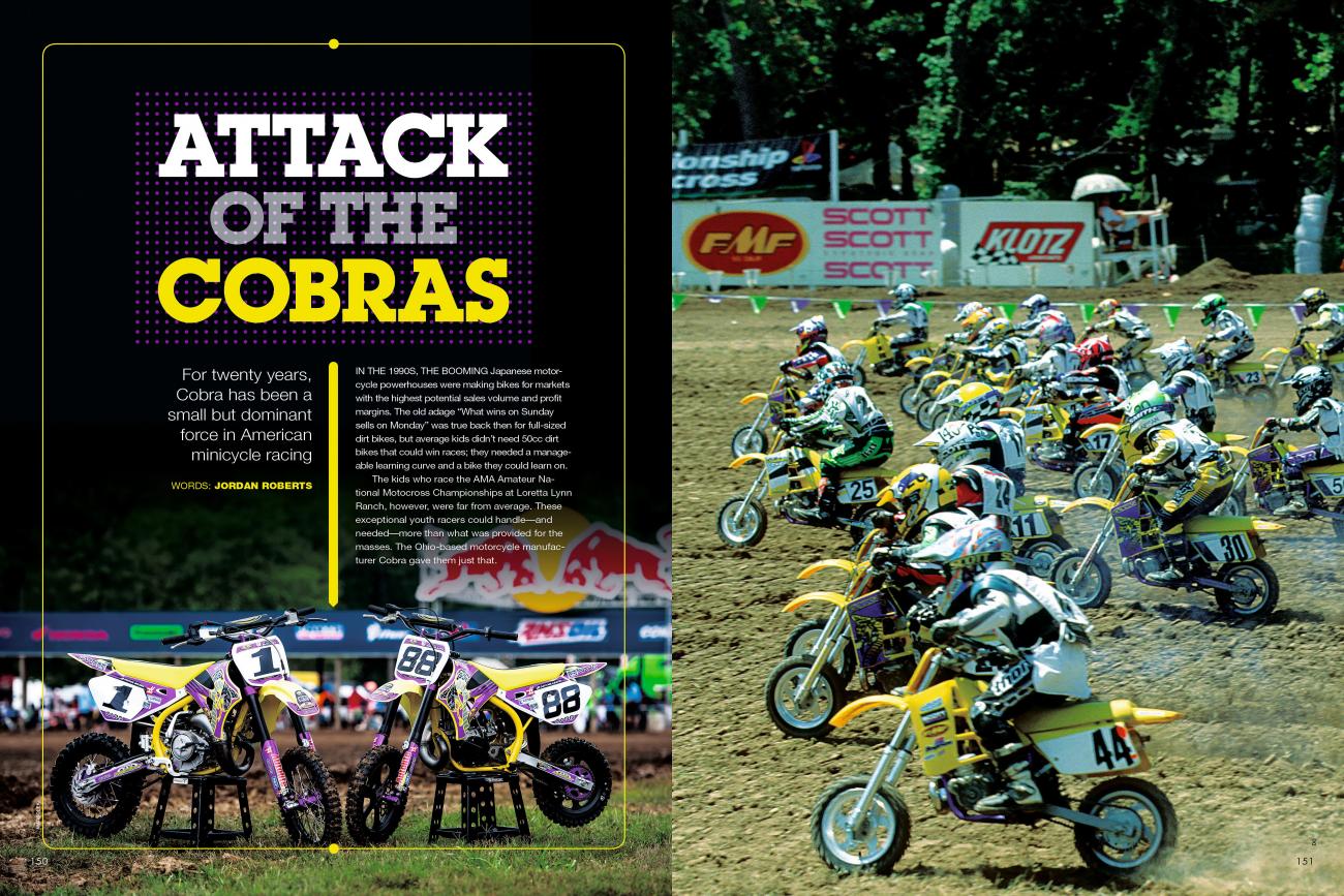In The Mag, On The Web: Attack of the Cobras