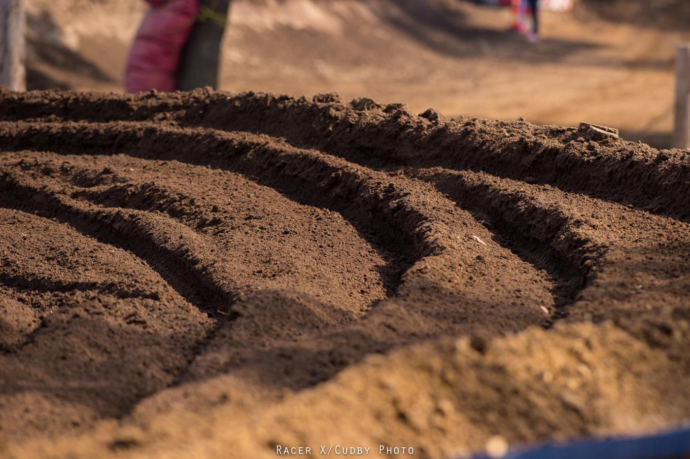 Misc-RedBud2014-Cudby-110