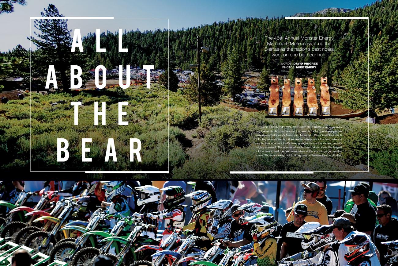 In The Mag, On The Web: All About The Bear