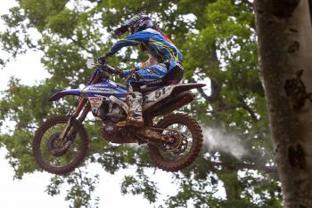 A Dog's World: Budds Creek