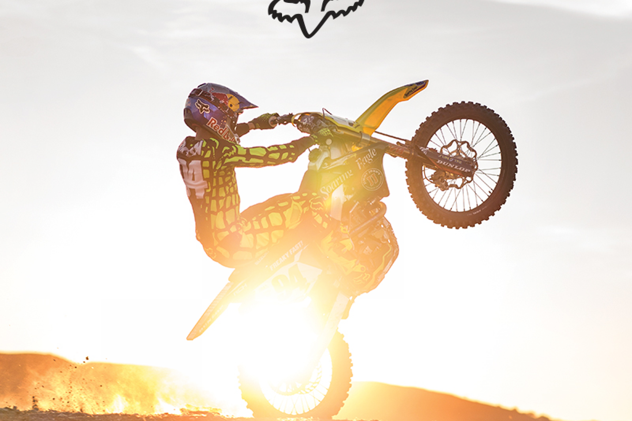 FOX MX17 Releases Worldwide