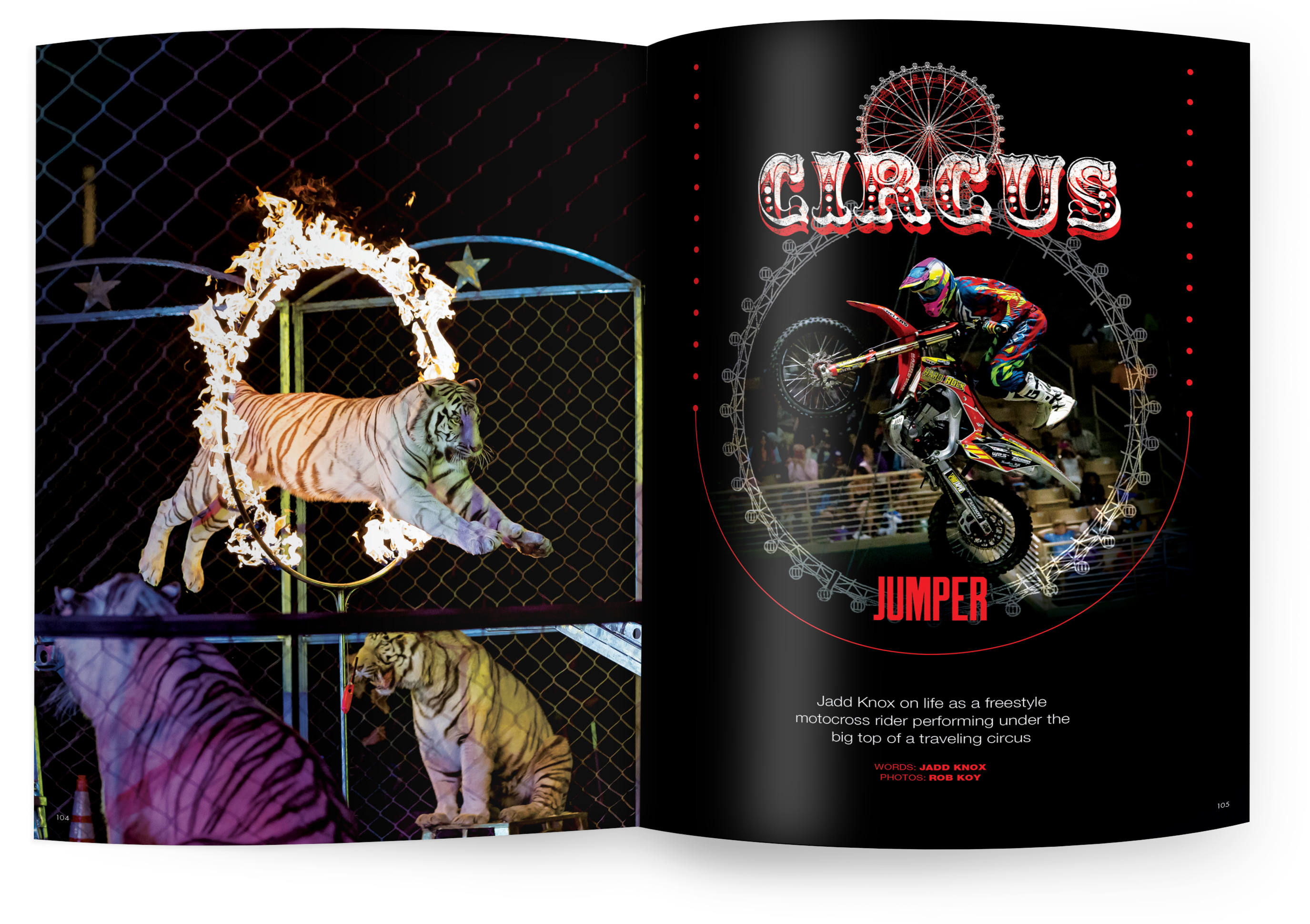 CIRCUS JUMPER