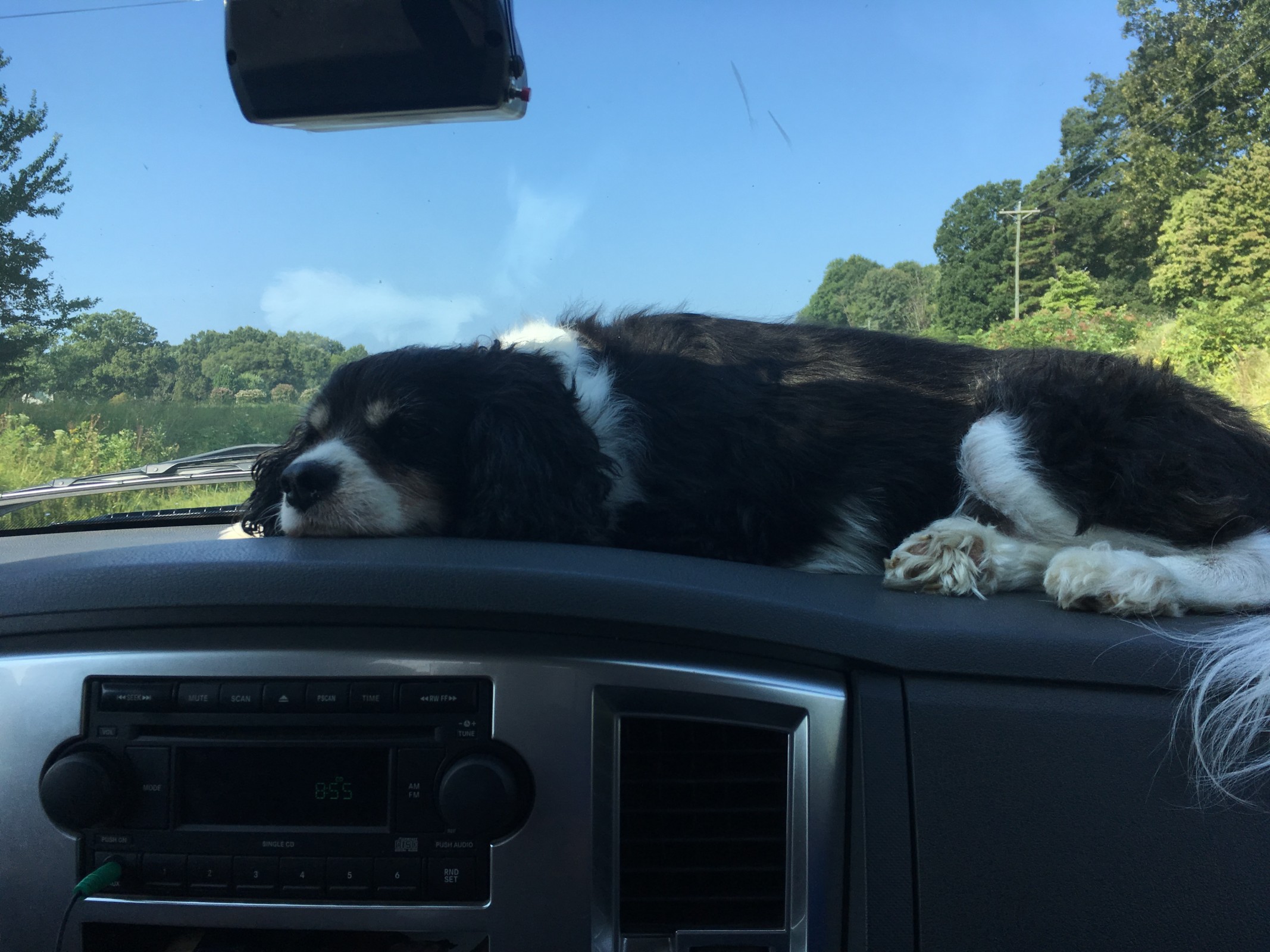 Not much could keep Diesel from getting in some Zs.