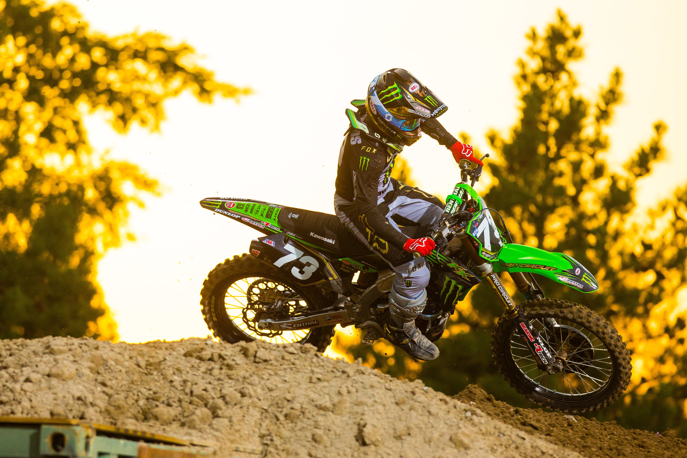 Davalos