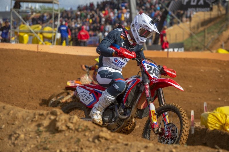 Gajser
