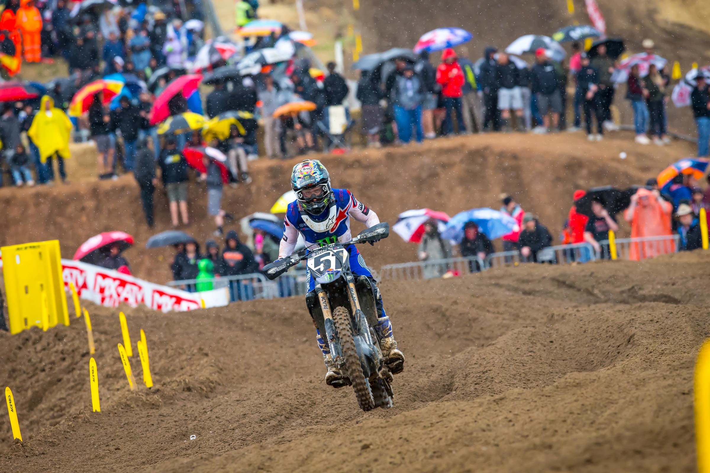 Barcia