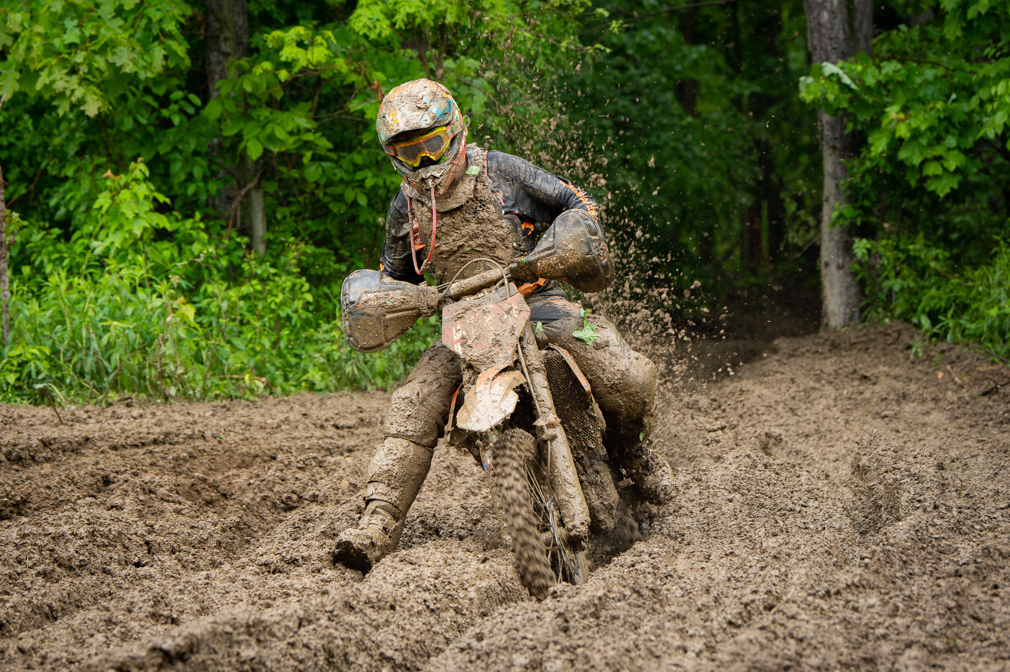 Steward Baylor