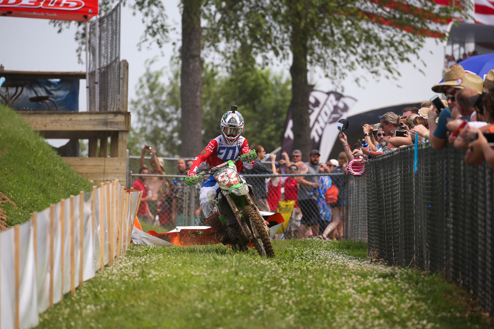 Cianciarulo