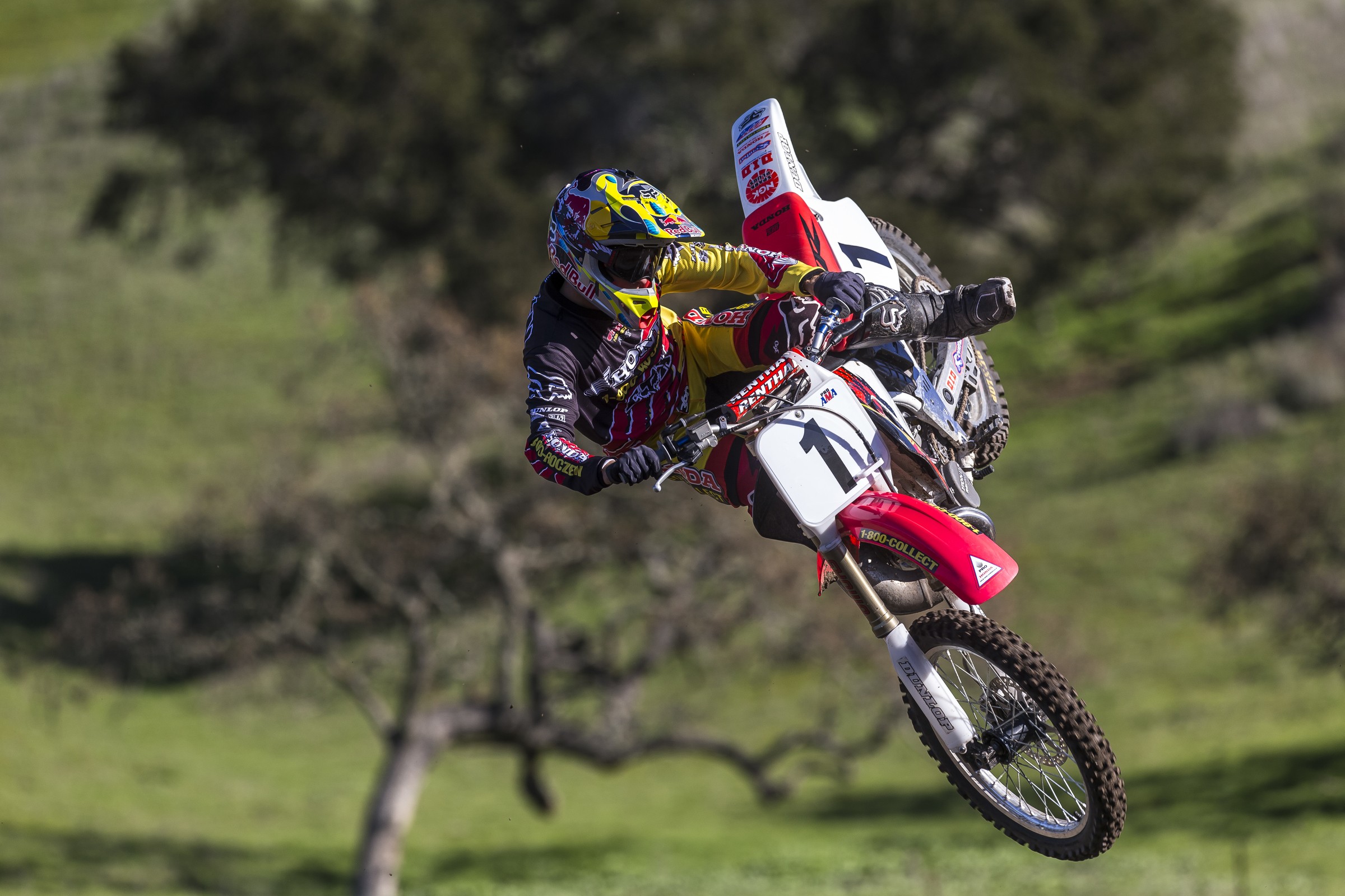 Watch: Terrafirma 94 Remix