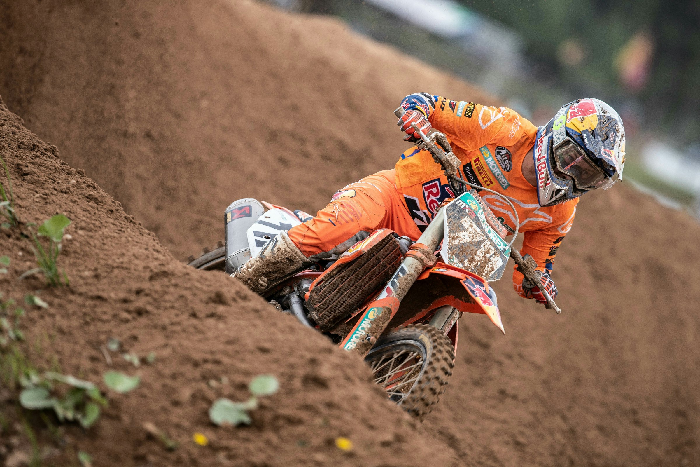 Rene Hofer Undergoes Shoulder Surgery