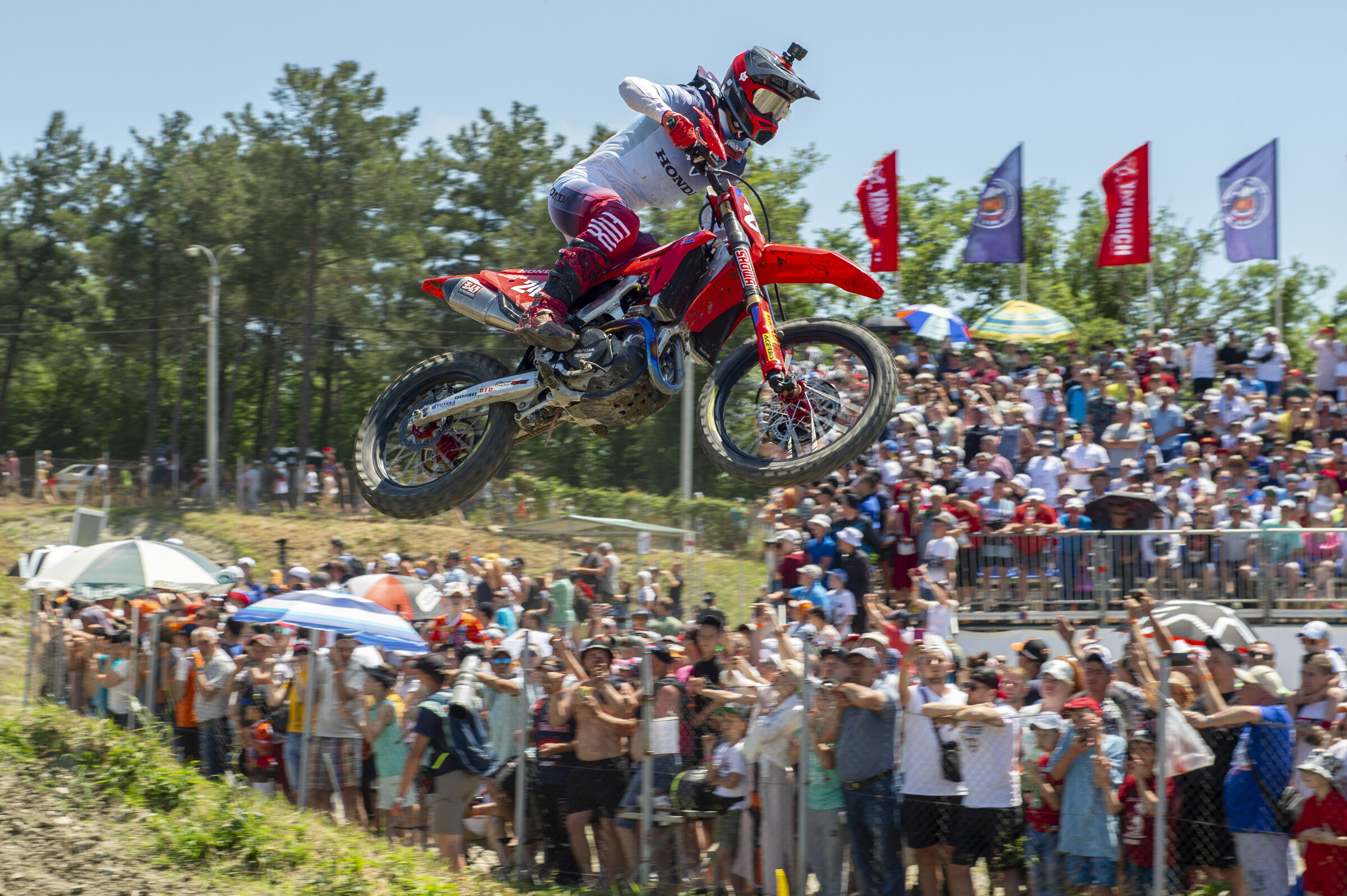 Tim Gajser