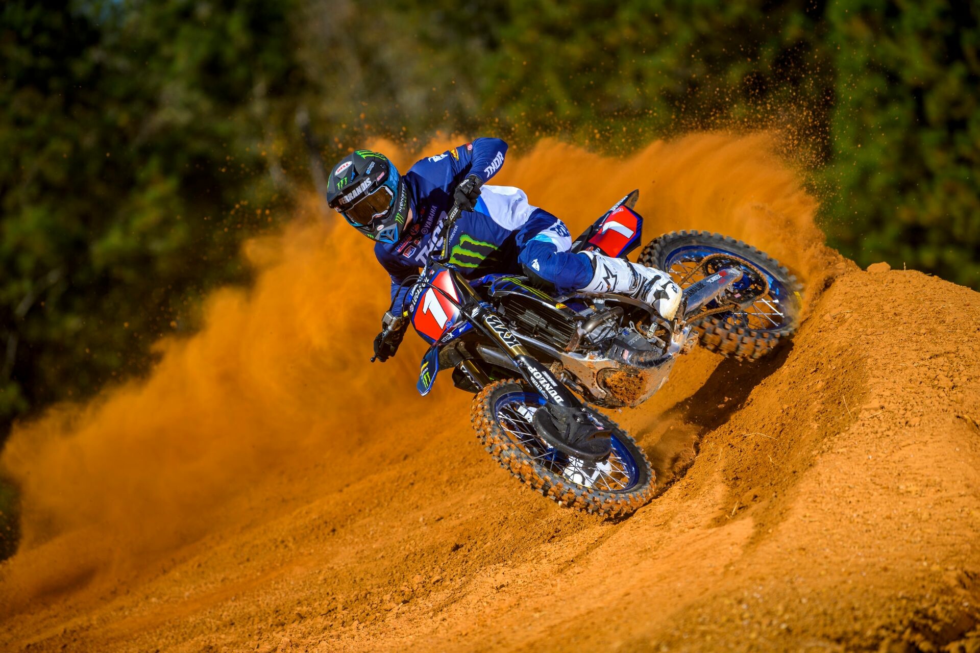 #1 Dylan Ferrandis (2022 Pro Motocross #1)