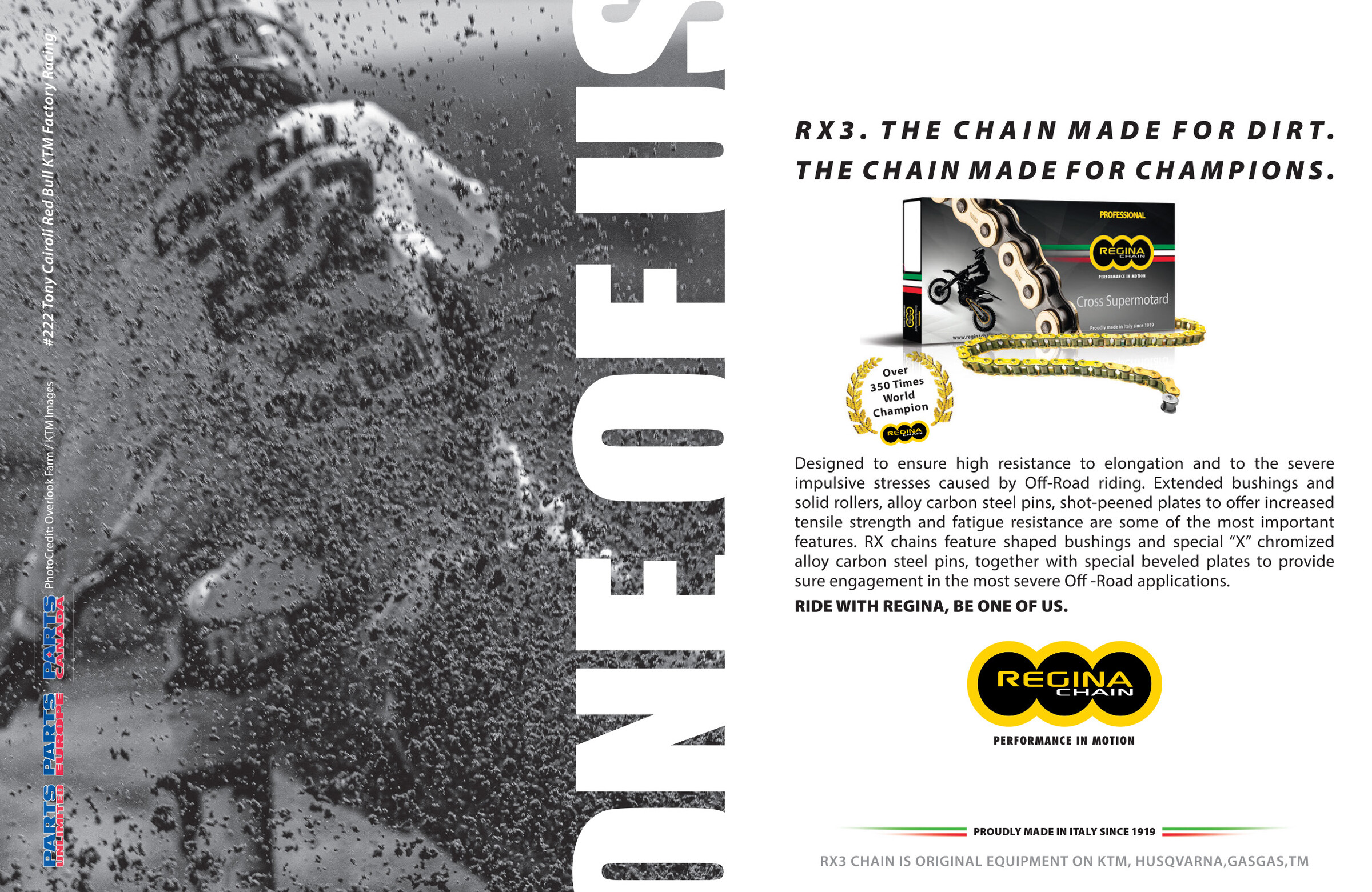 Advertisement: Regina Chain