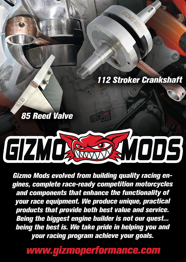 Advertisement: Gizmo Mods
