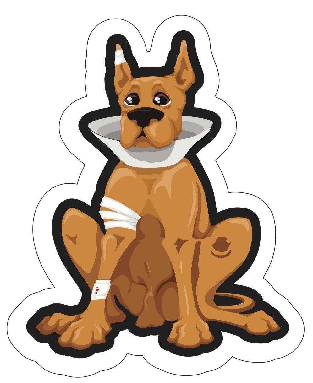 Matti Jorgensen's butt patch