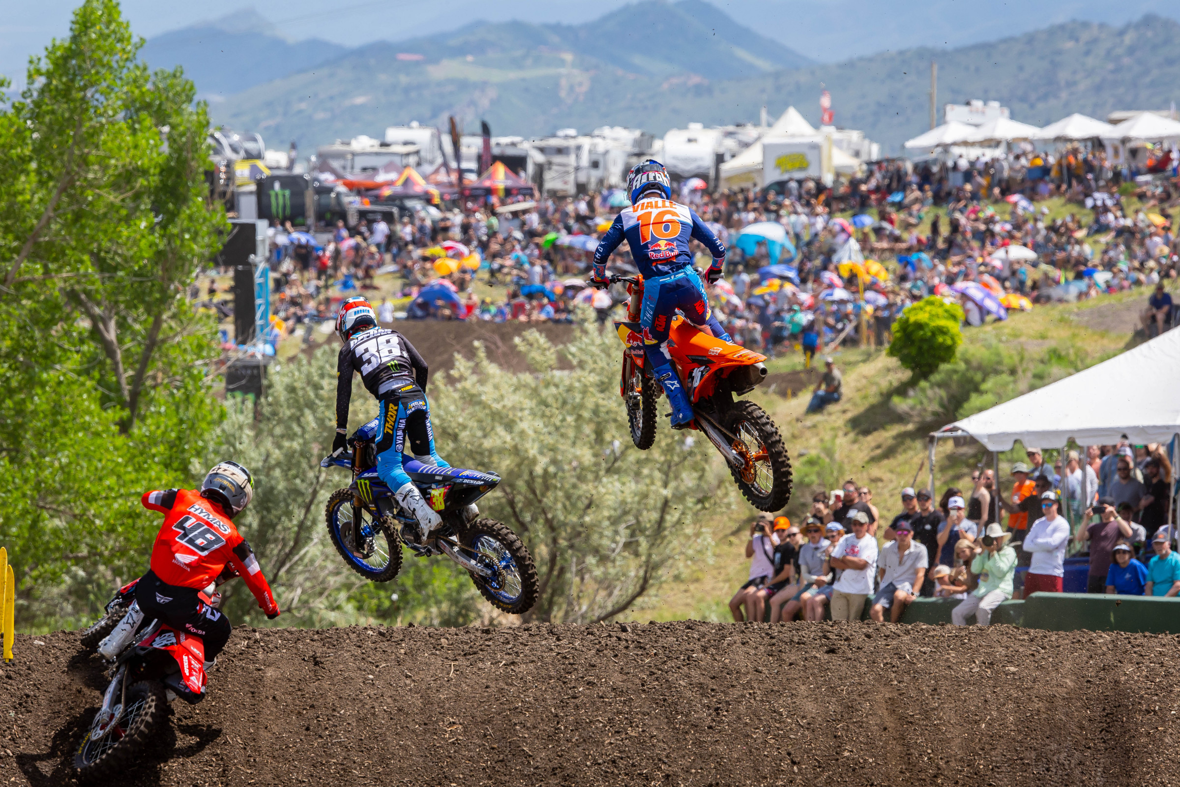 Insight: Battle Lines