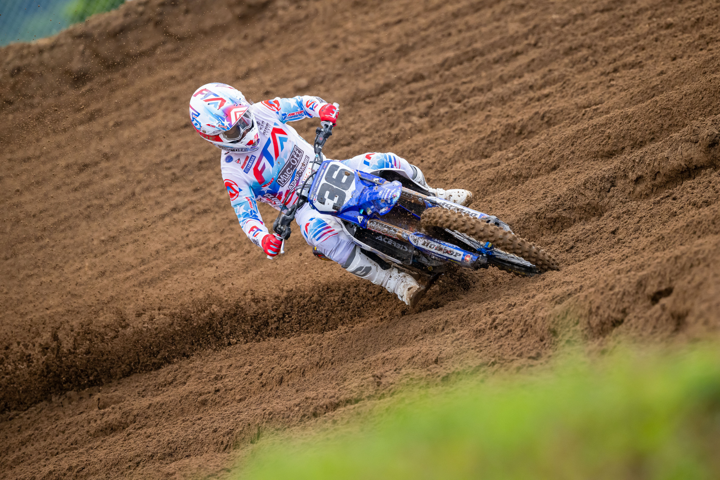 How to Watch: Spring Creek