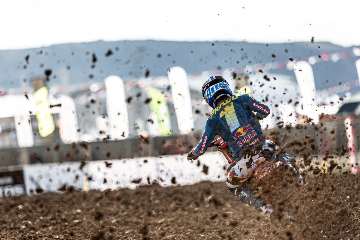 Jorge Prado