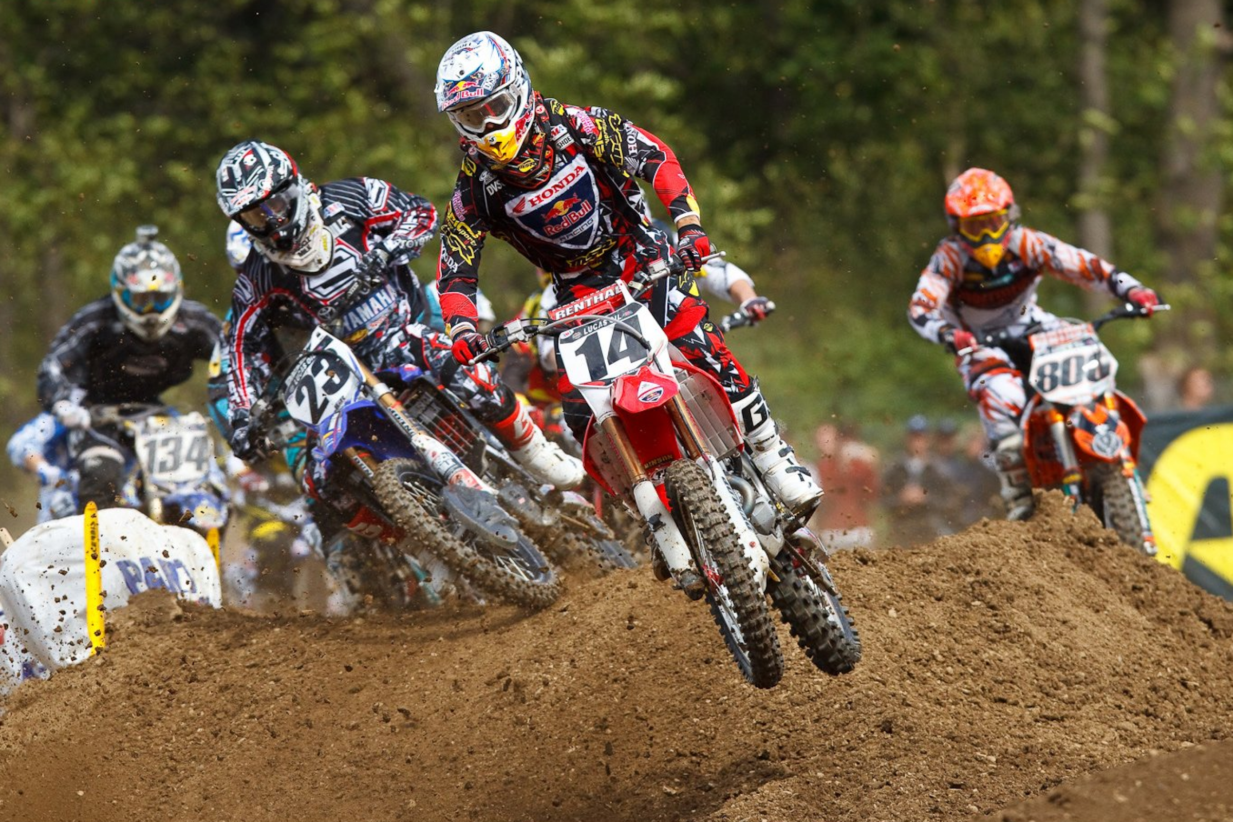 Watch: Old Dog Has His Day! 