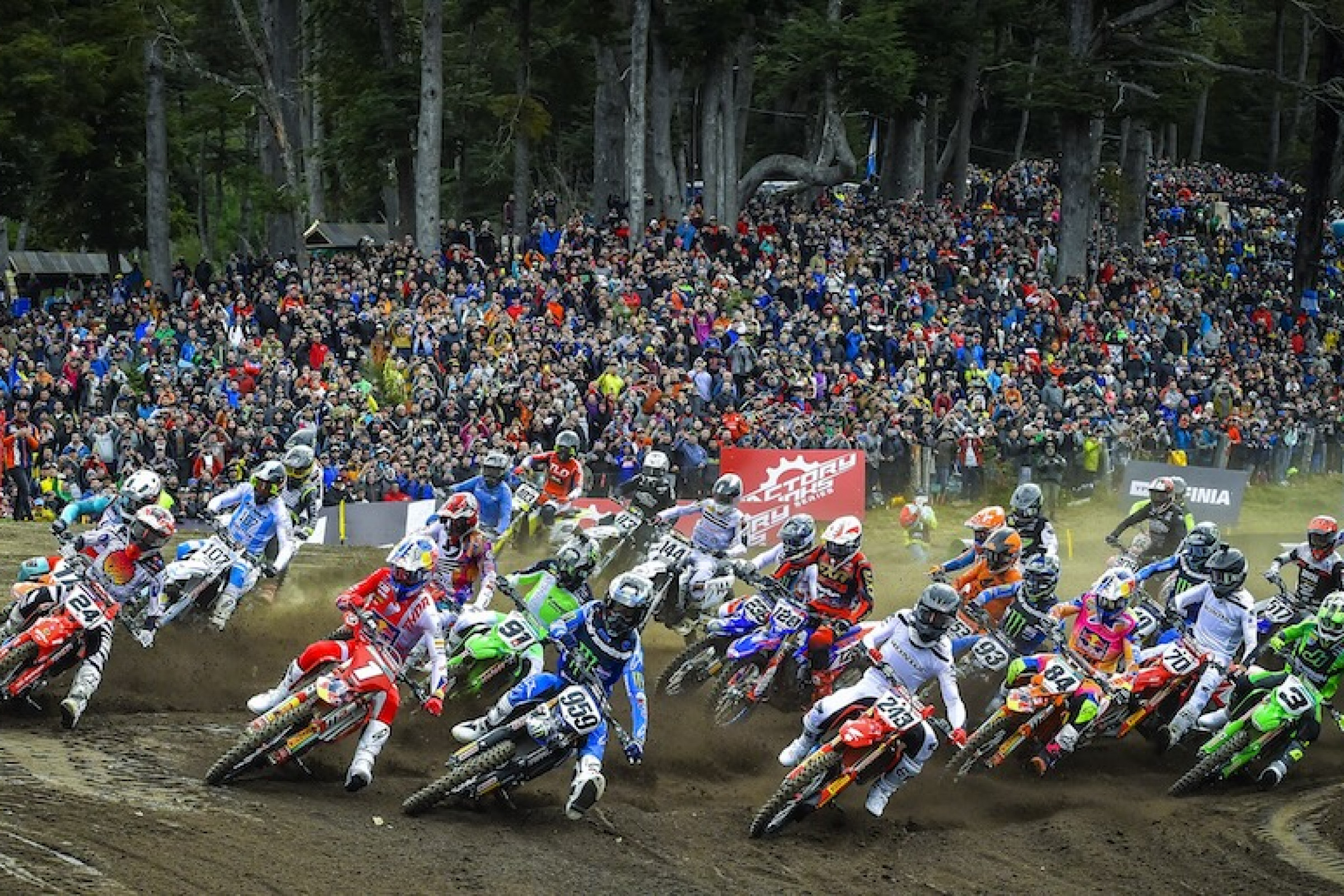 296490_startmxgp1arg2024mxgp1