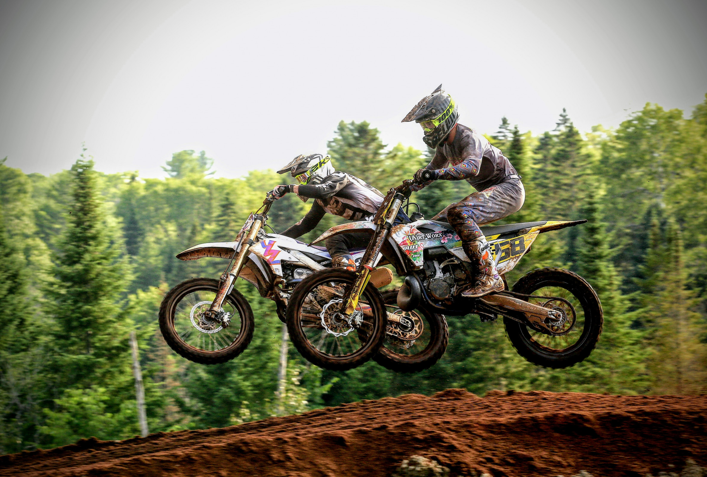 Does sawdust roost hurt less than normal roost?