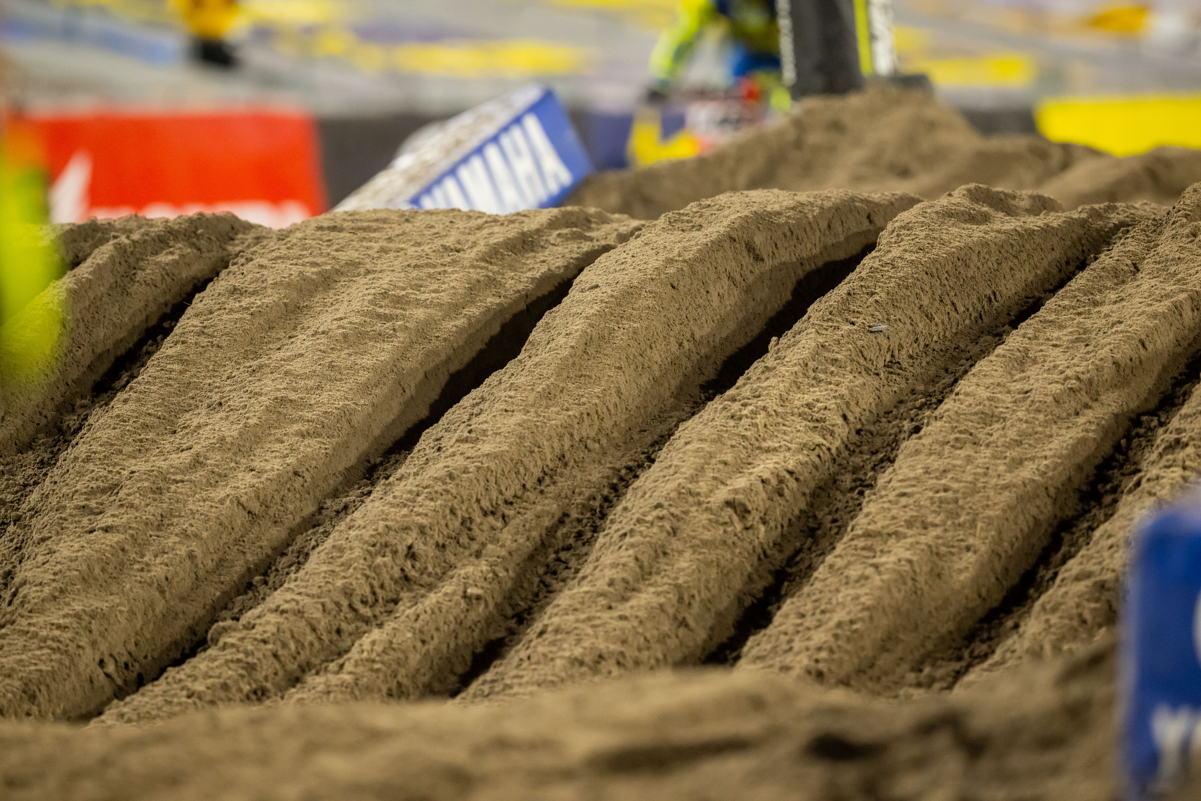 Fun times were had in the deep Florida sand.