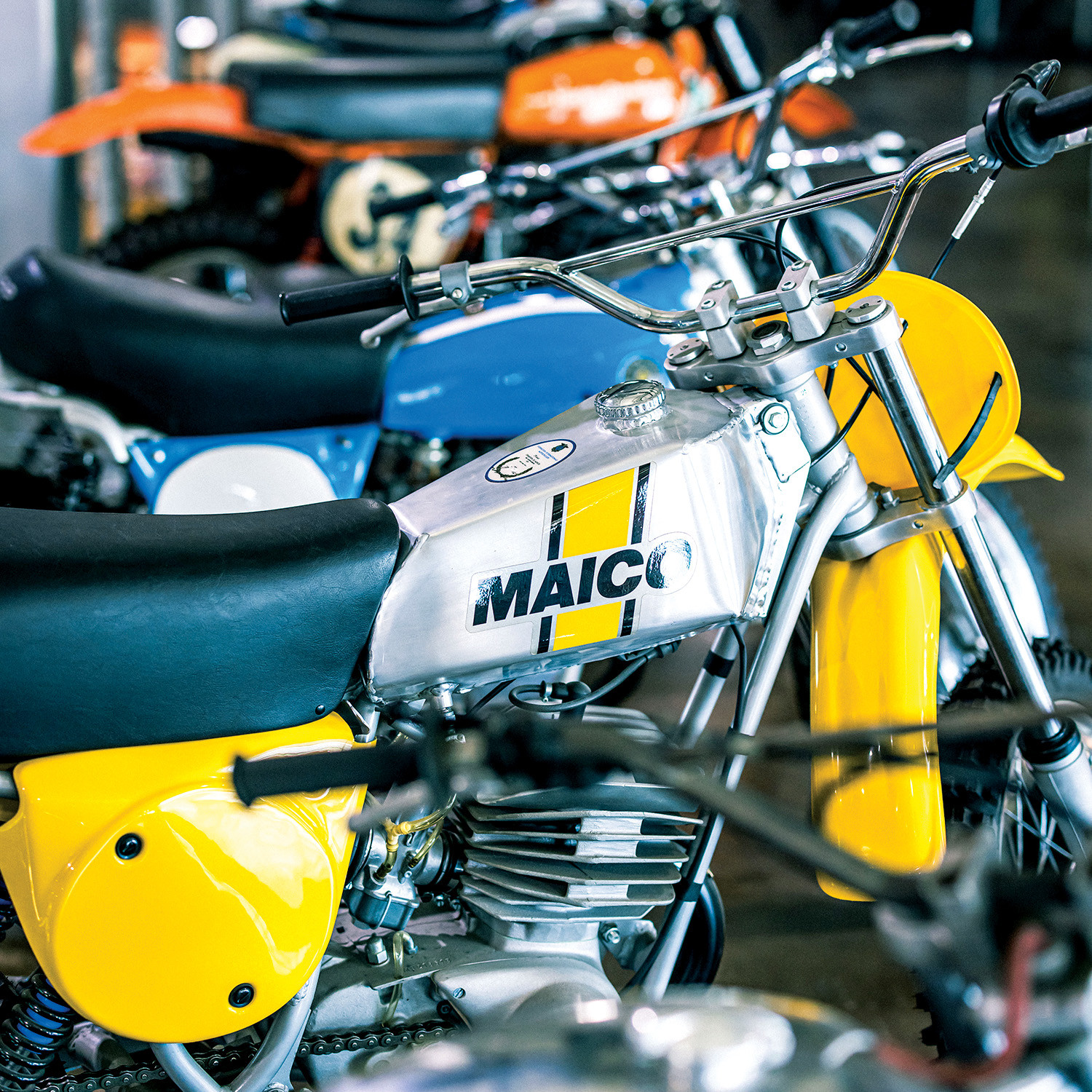 MSmithStudio-Jan2025-Cudby-075