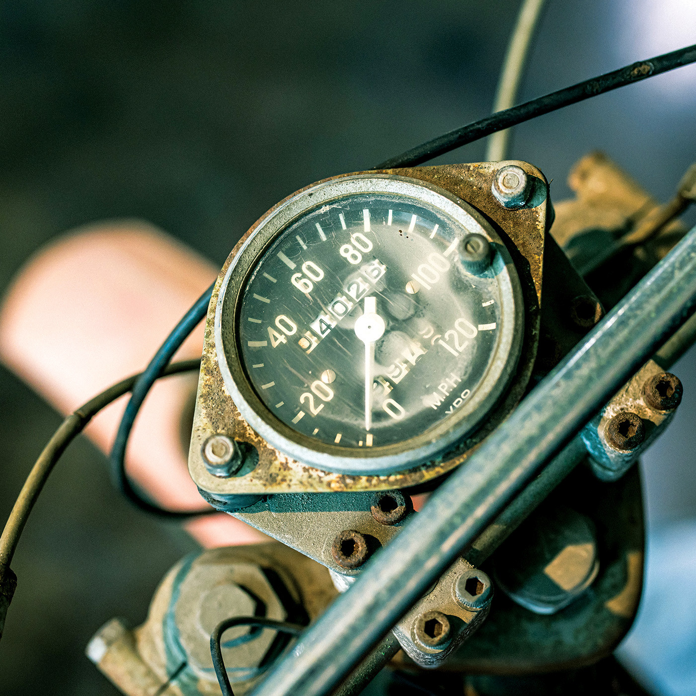 MSmithStudio-Jan2025-Cudby-061