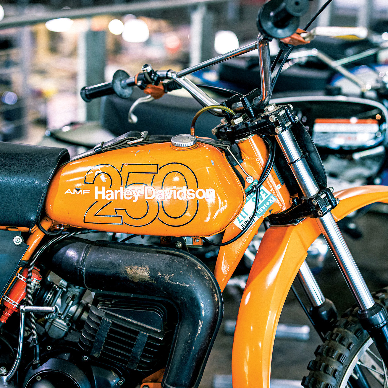 MSmithStudio-Jan2025-Cudby-077