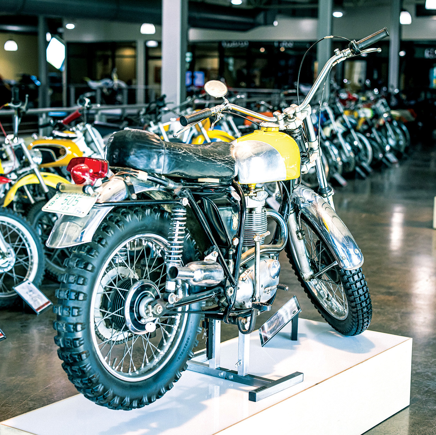 MSmithStudio-Jan2025-Cudby-086