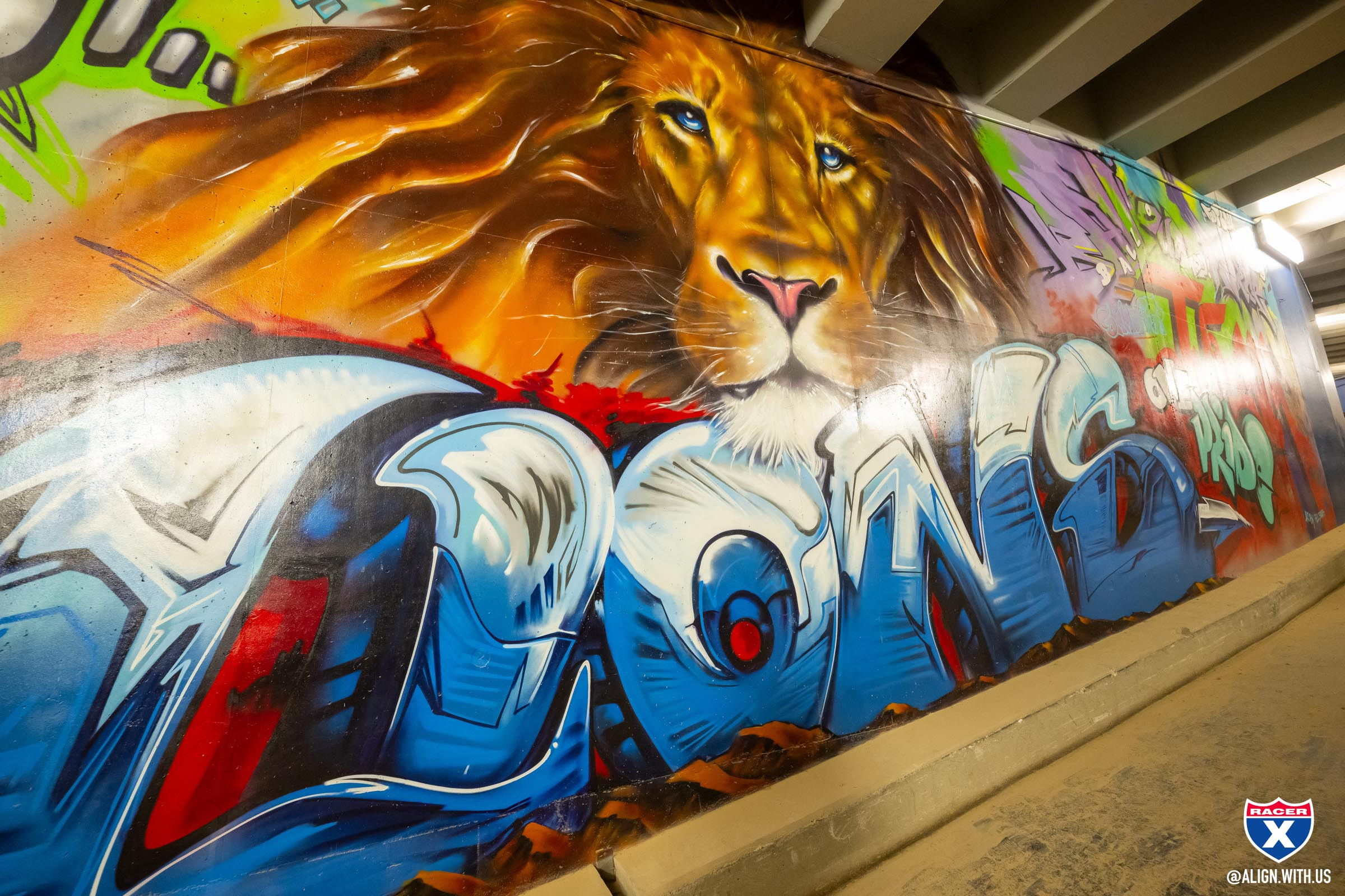 2025_DETROIT_SX_ALIGN_MEDIA_X_RACER_X_036