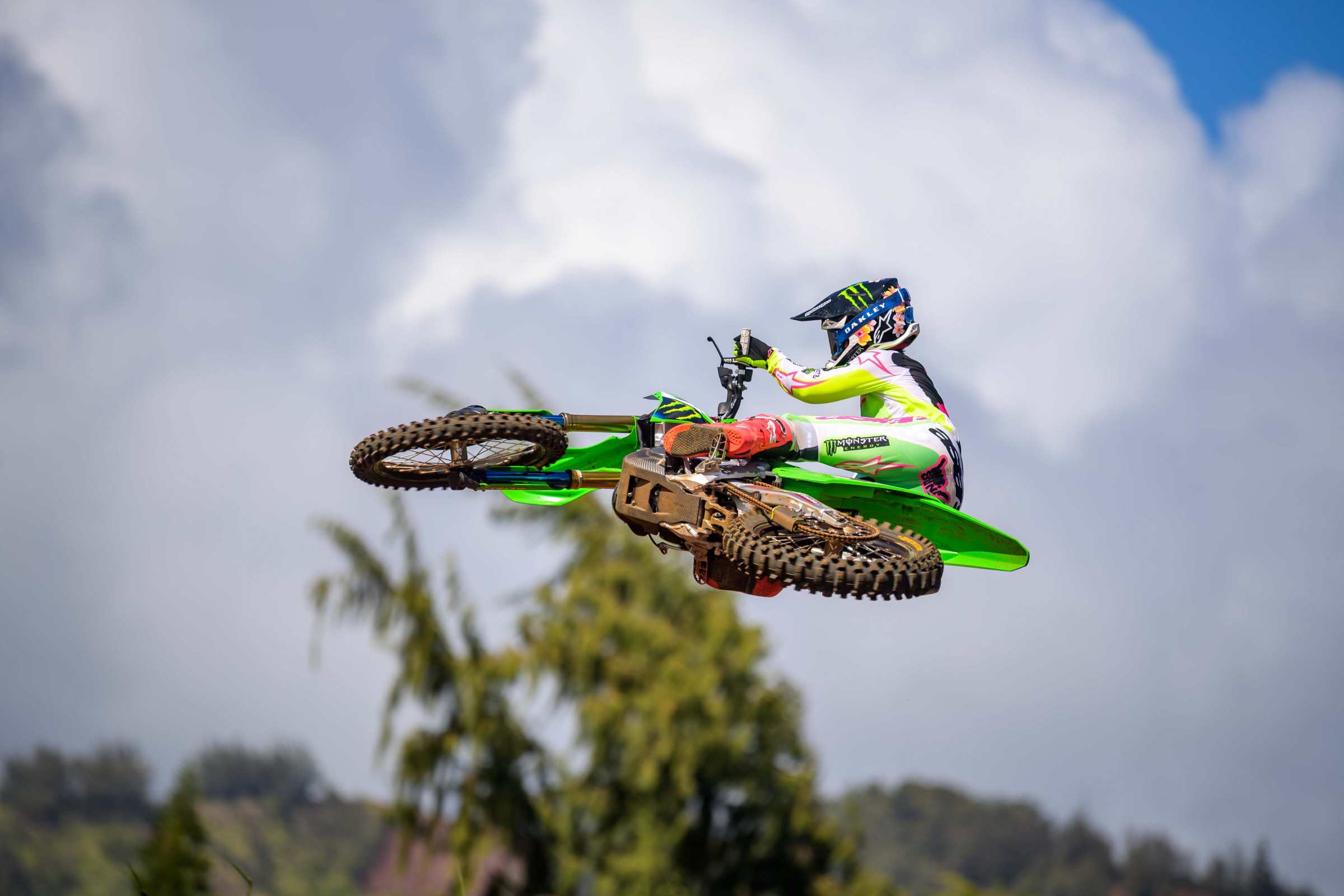 SEXTON_2025_HAWAII_MONSTER_OCTOPI_RSP_8938.NEF