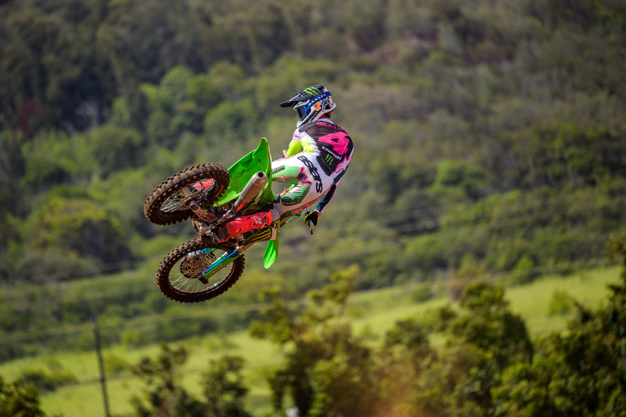 SEXTON_2025_HAWAII_MONSTER_OCTOPI_RSP_8892.NEF