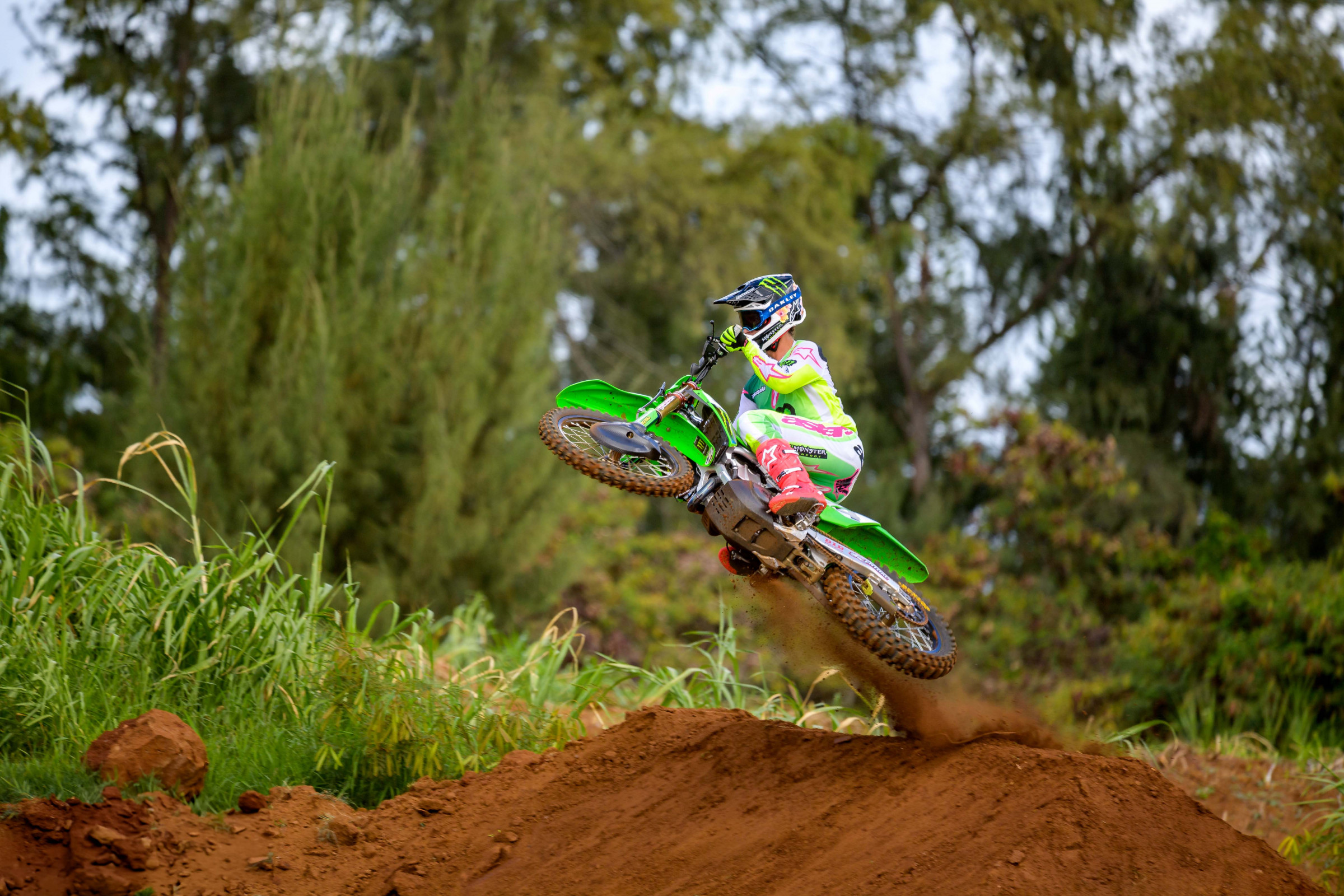 SEXTON_2025_HAWAII_MONSTER_OCTOPI_RSP_8803.NEF