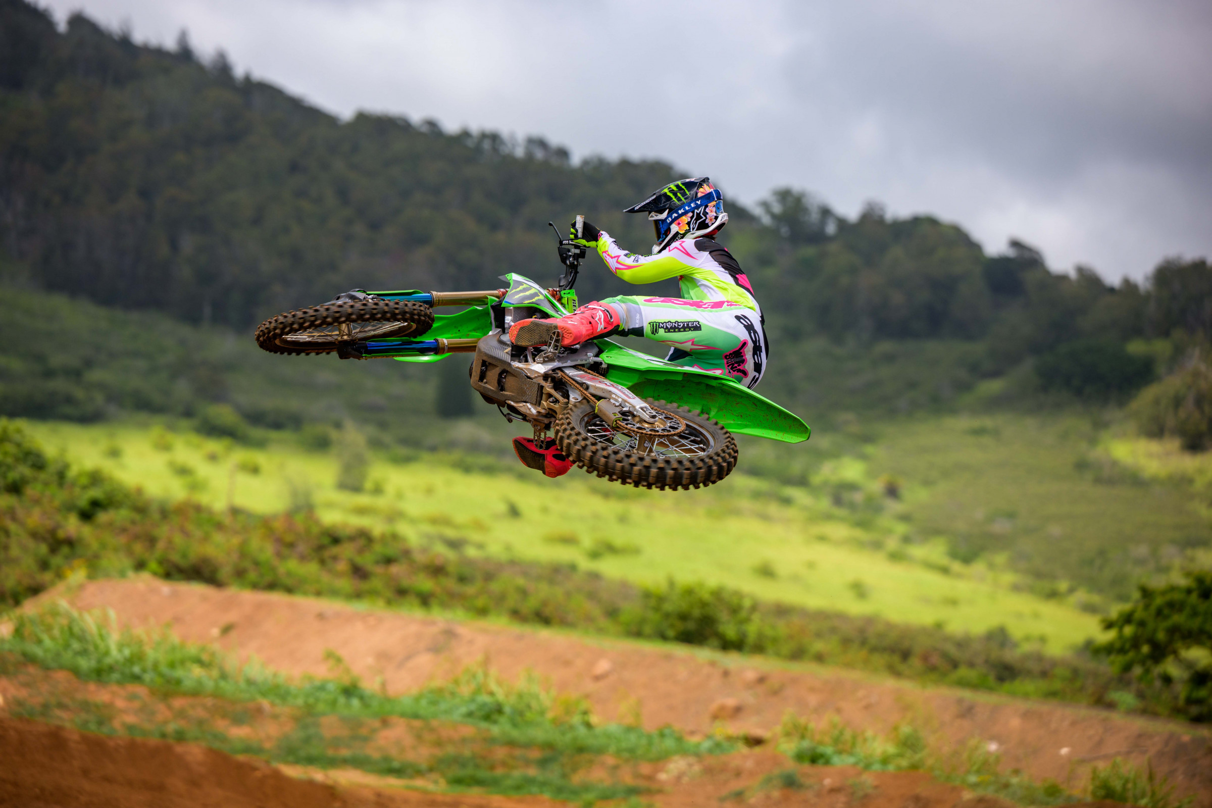 SEXTON_2025_HAWAII_MONSTER_OCTOPI__RJS9078.NEF