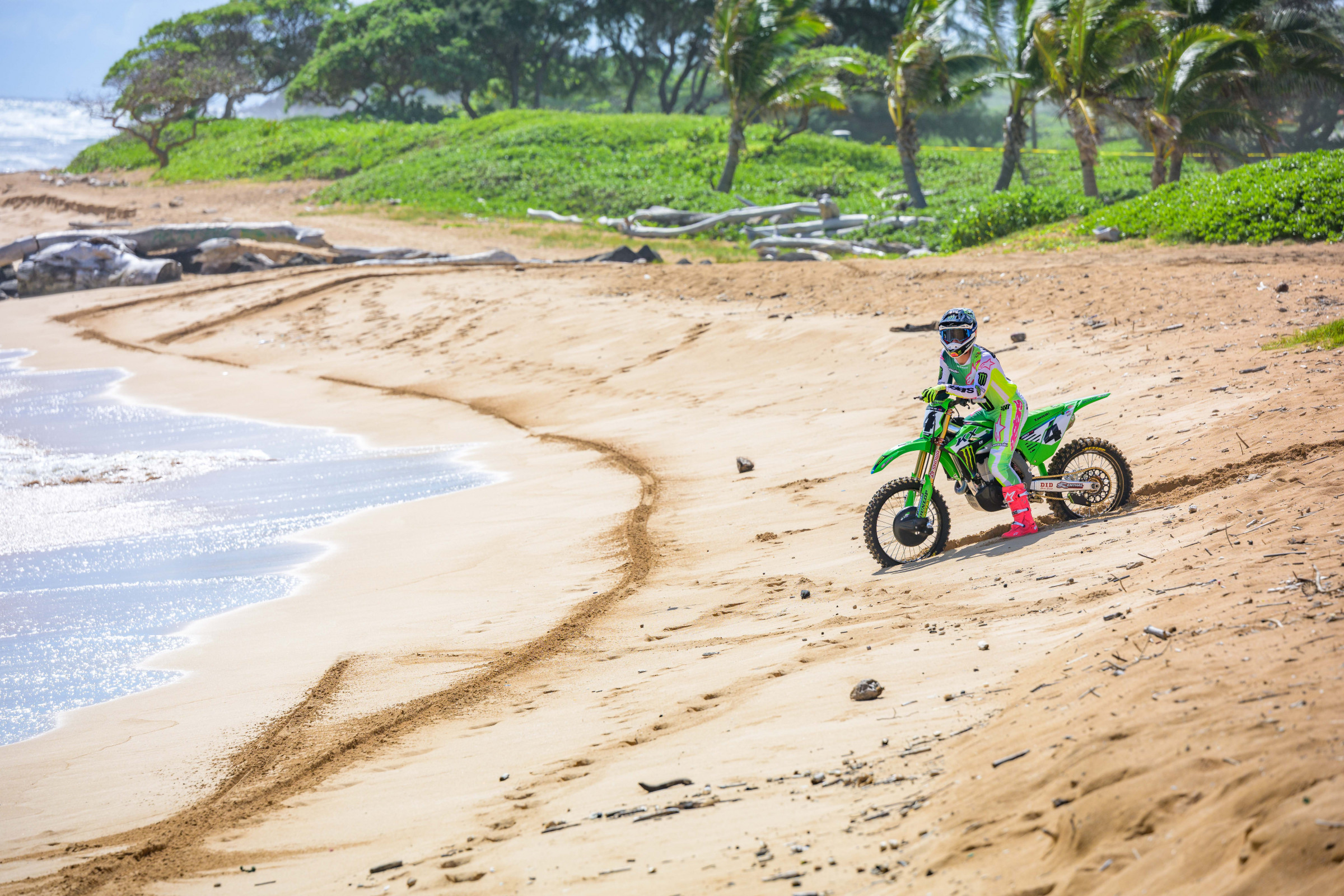 SEXTON_2025_HAWAII_MONSTER_OCTOPI__RJS8928.NEF