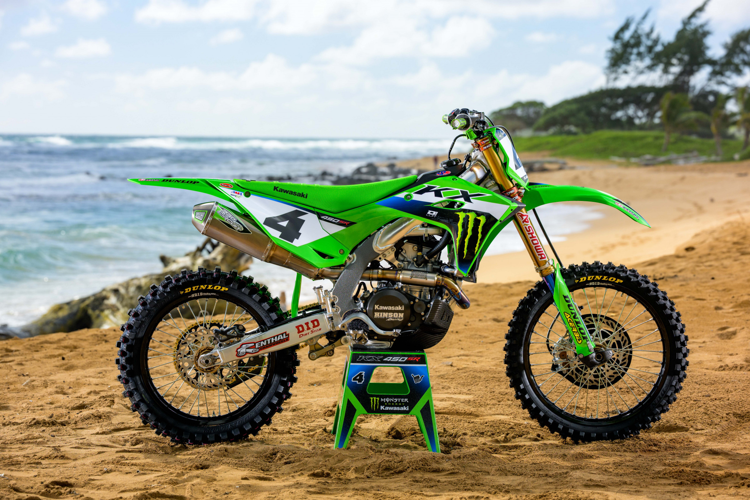 SEXTON_2025_HAWAII_MONSTER_OCTOPI__RJS8438.NEF