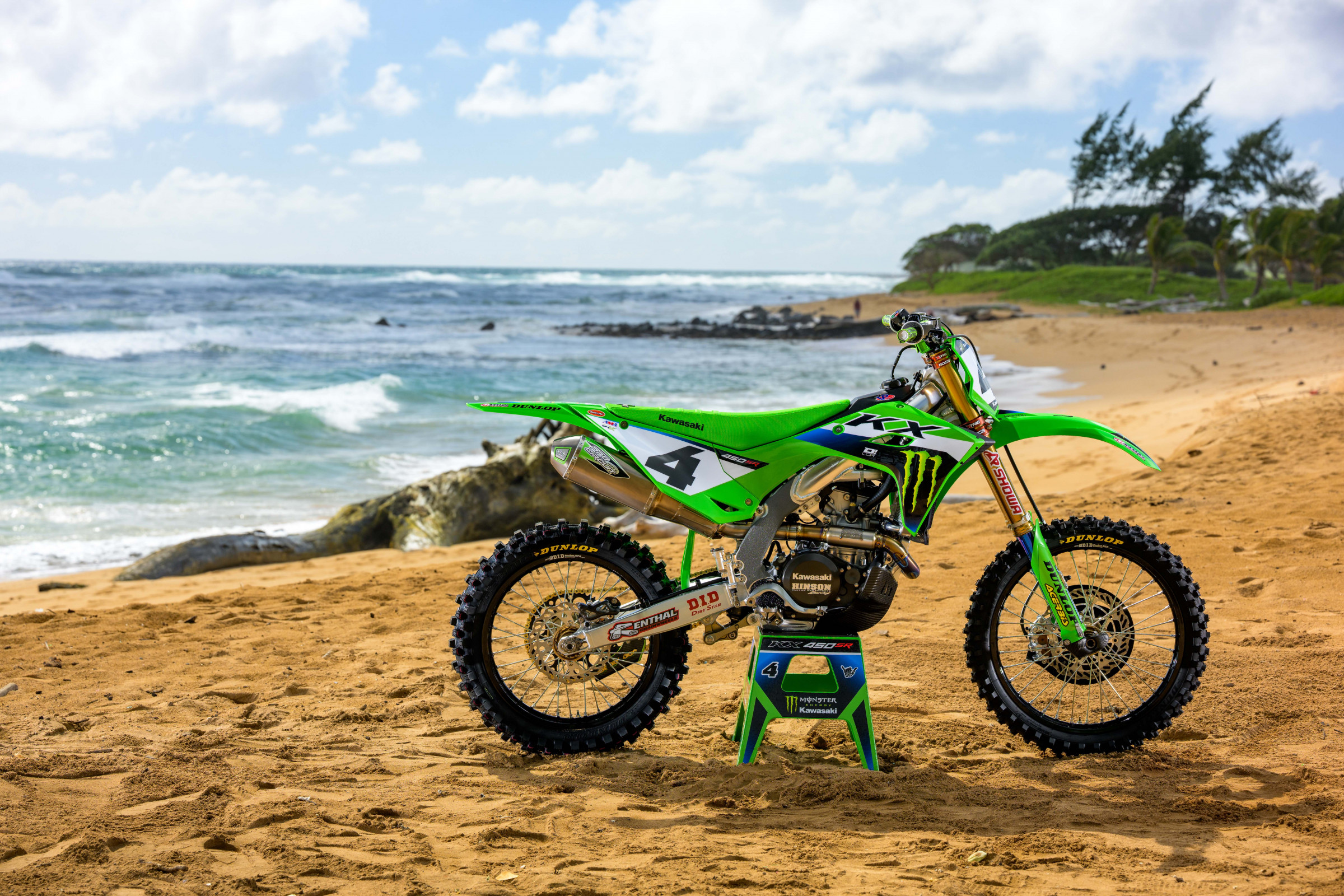 SEXTON_2025_HAWAII_MONSTER_OCTOPI__RJS8441.NEF