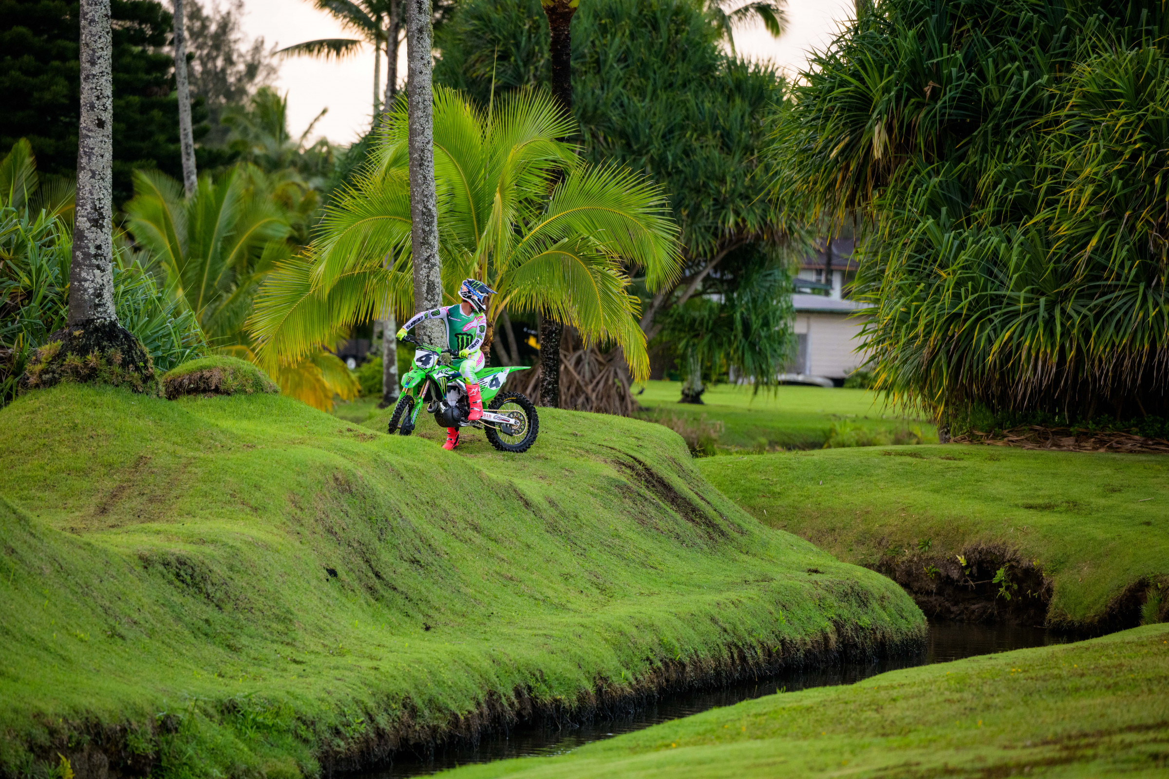 SEXTON_2025_HAWAII_MONSTER_OCTOPI__RJS0570.NEF