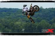 RedBud Wallpapers