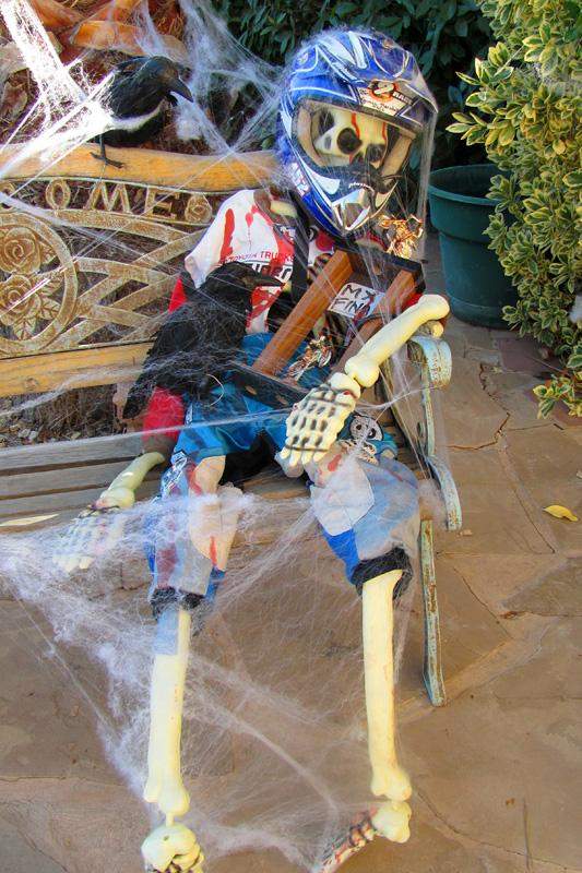 Moto Skeleton (Vote at facebook.com/racerxonline)