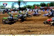 RedBud Wallpapers