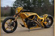 Custom Travis Pastrana/Nitro Circus Bike For Sale 