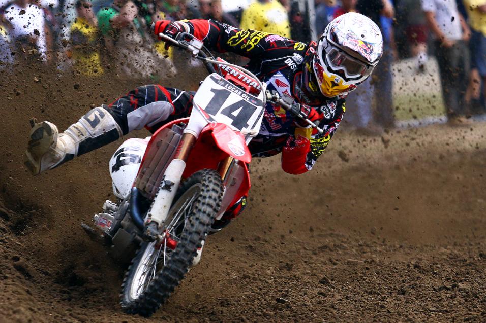 Brown Dog Wilson's Favorites of 2010