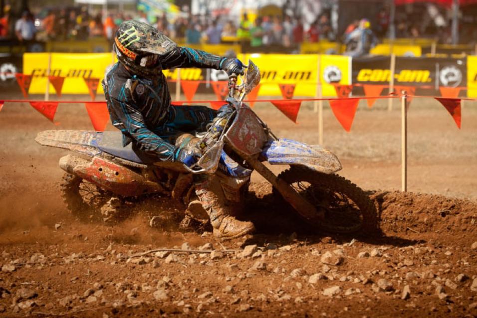 Monday Conversation II: Paul Whibley