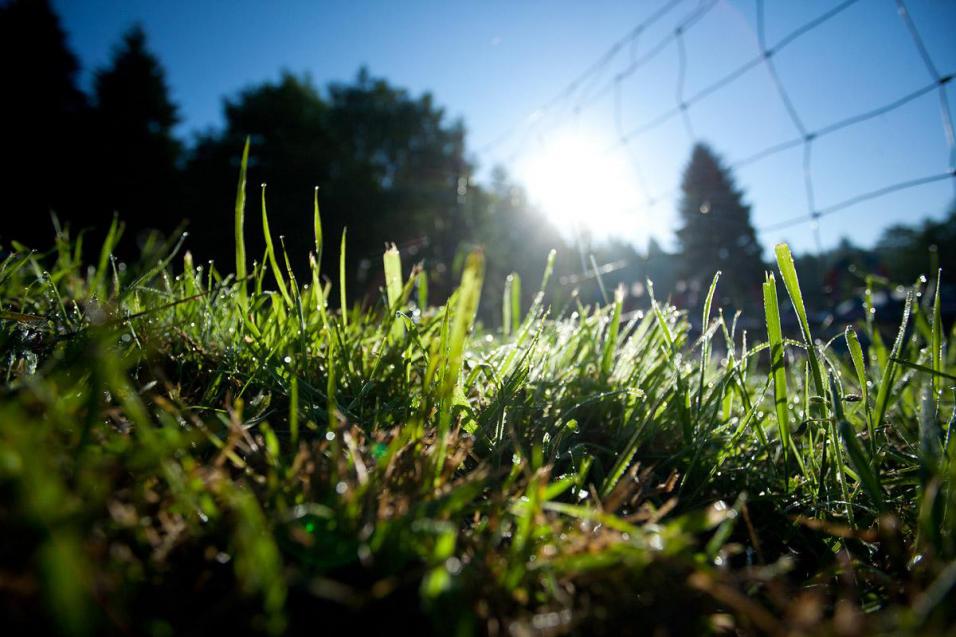 250 Moto 1 Report: Washougal