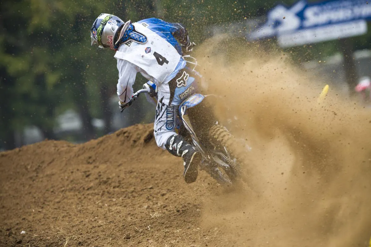 Matt Bisceglia