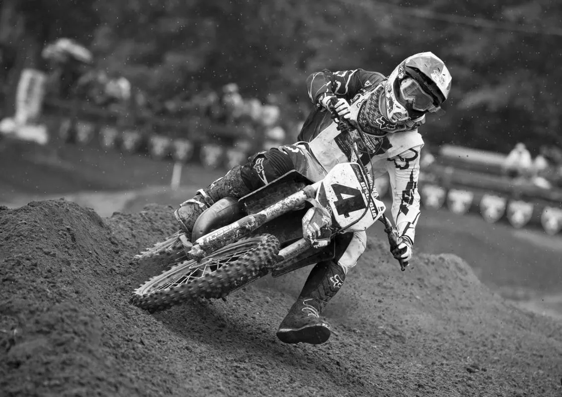 Matt Bisceglia